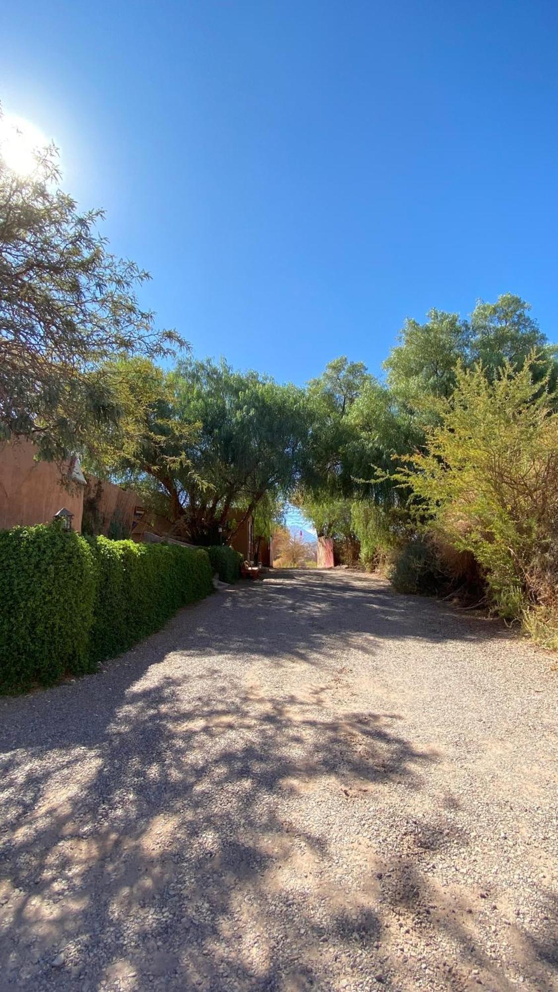 サン・ペドロ・デ・アタカマ San Pedro Domosヴィラ エクステリア 写真