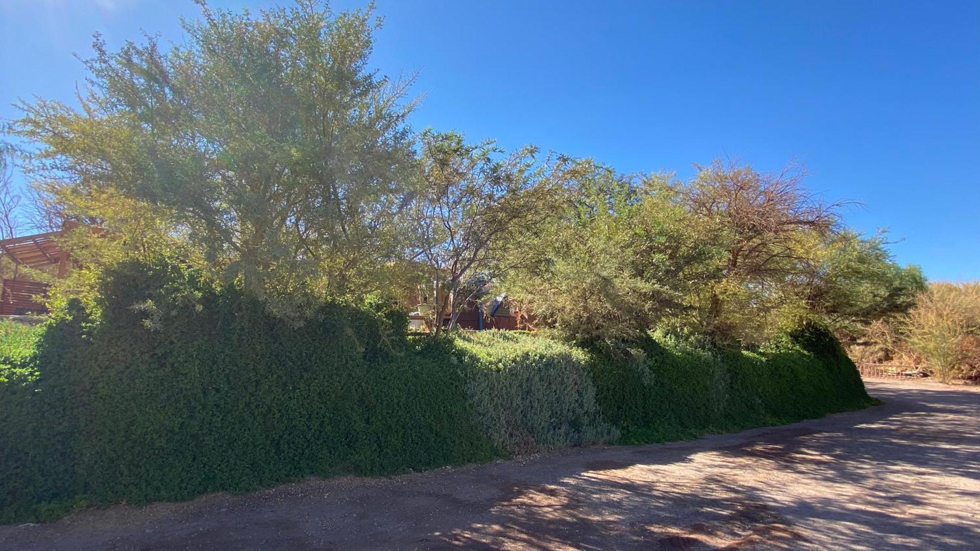サン・ペドロ・デ・アタカマ San Pedro Domosヴィラ エクステリア 写真